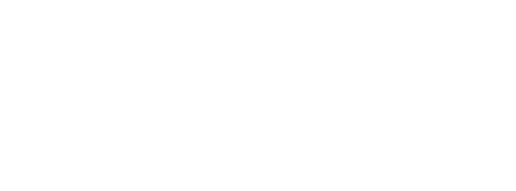 Lyft_w
