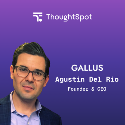 gallus v1-1